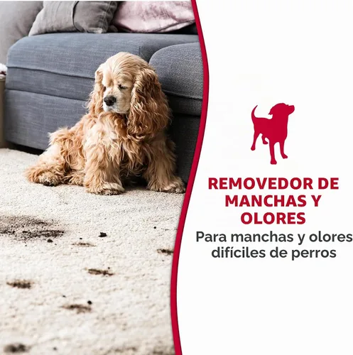 Vista 3 de Nature's Miracle Espuma eliminadora de manchas y olores para perros