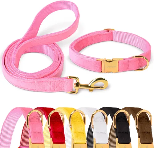 Vista 8 de GAMUDA Collar y correa de terciopelo para perro, súper suave y liso, hebilla dorada resistente, cómodo y fácil de limpiar, collar ajustable