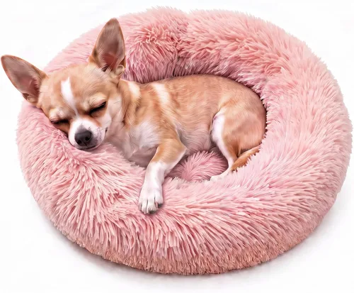 Vista 9 de Cama pequeña para perros extra pequeños para caniche de juguete Chihuahua Pomerania