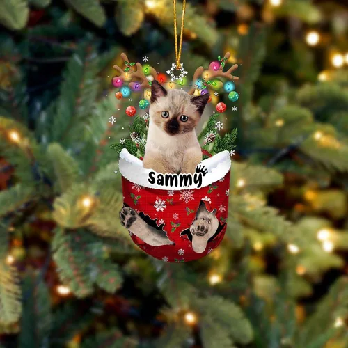 Vista 22 de Adorno personalizado de gato de rizo americano, adorno personalizado con nombre de mascota, colgante acrílico plano impreso en 2D, Papá Noel y gato