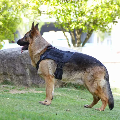 Vista 5 de Arnés táctico para perros medianos y grandes sin tirones, arnés militar con asa, chaleco para perro de servicio con paneles Molle y bucle, arnés