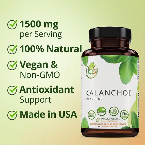 Vista 6 de Kalanchoe Pinnata Forte (Leaf of Life) 90 cápsulas (1500 mg por porción) Bryophyllum Pinnatum - 100% natural, vegano, sin OMG, suplemento dietético
