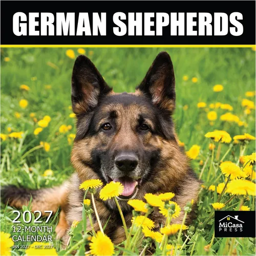 Vista 59 de MICASA PRESS Calendario de pared de Australian Shepherds Aussies 2027 02 - Pastores australianos