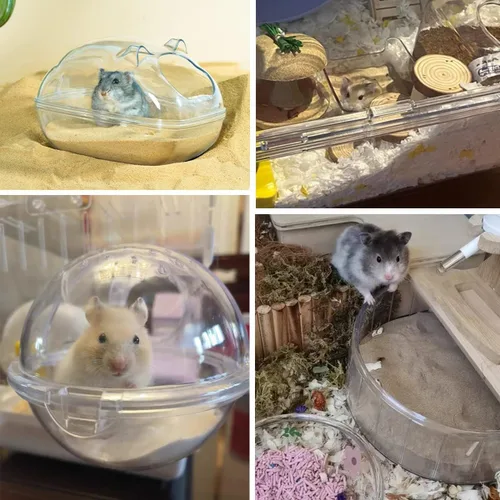 Vista 6 de Arena de baño para hámster, 3lb arena del desierto libre de polvo o arena para orinal para hámster, chinchillas, jerbo, hámster sirio, ratones, Beige