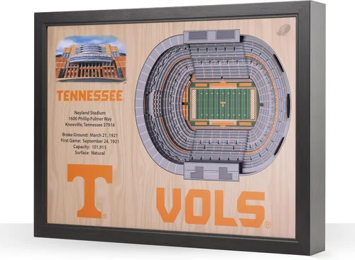 Vista 24 de YouTheFan NCAA Arte de Pared StadiumView de 25 Capas