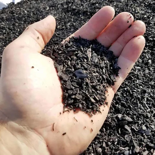 Vista 7 de Char Bliss (1 cuarto de galón) - Biochar orgánico para plantas - Enmienda orgánica del suelo de biochar con certificación OMRI - Carbón hortícola