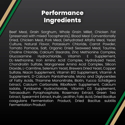 Vista 8 de VICTOR Performance - Alimento seco para perros, carne de res, pollo y cerdo