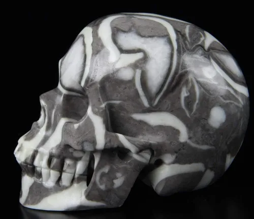 Vista 4 de Skullis Cráneo de cristal fósil raro de 2.0 pulgadas, escultura de arte fino de piedras preciosas talladas a mano, estatua de piedra curativa