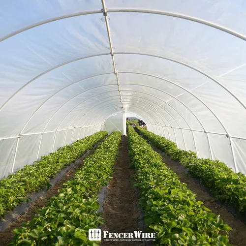 Vista 6 de Fencer Wire Lámina de plástico transparente para invernaderos de 6 mil resistente a los rayos UV, cubierta de invernaderos para horticultura