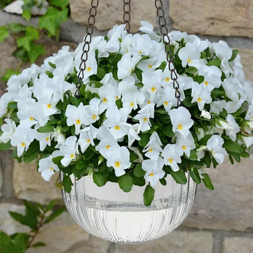 Vista 7 de Meanplan 4 macetas colgantes de riego automático para interiores de 6.5 pulgadas, cestas colgantes para plantas al aire libre, maceta de plástico