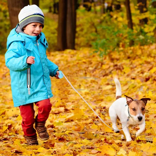 Vista 6 de Correa retráctil para perros pequeños y gatos de hasta 11 libras con cinta de nailon fuerte antitirones de 6.5 pies, manos libres, mini correa Azul