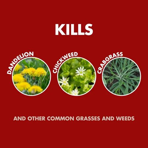 Vista 3 de Spectracide Weed & Grass Killer 2, Uso en Calzadas, Caminos y Alrededor de Árboles y Jardineras de Flores, Aerosol de 32 onzas líquidas