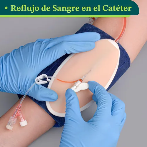 Vista 2 de Kit de práctica de flebotomía, almohadilla de entrenamiento de inserción intravenosa portátil