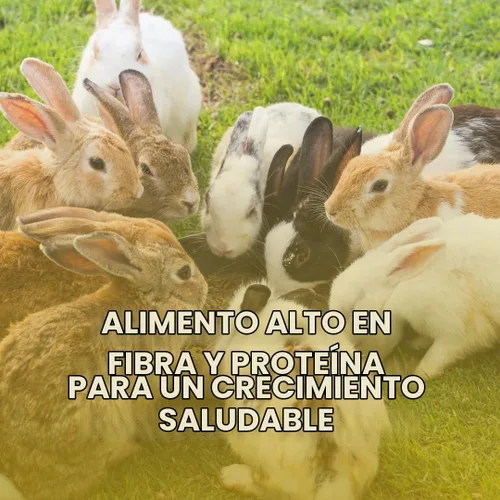 Vista 5 de Unearthed Pellets de alfalfa sin OMG – Alfalfa curada al sol 100% pura, sin aditivos ni rellenos Alimento premium para conejos, caballos, cabras