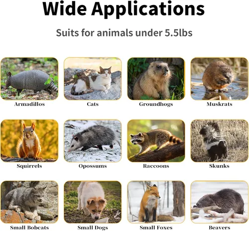 Vista 6 de Trampas para animales vivos de 26 pulgadas para gatos callejeros de hasta 5.5 libras, mapaches, ardilla, zorrilla, topo, marmota, armadillo, conejo