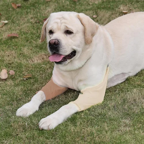 Vista 8 de Protector de codo para perro, mangas para perros para heridas y patas delanteras, mantiene la herida del codo limpia, con acolchado