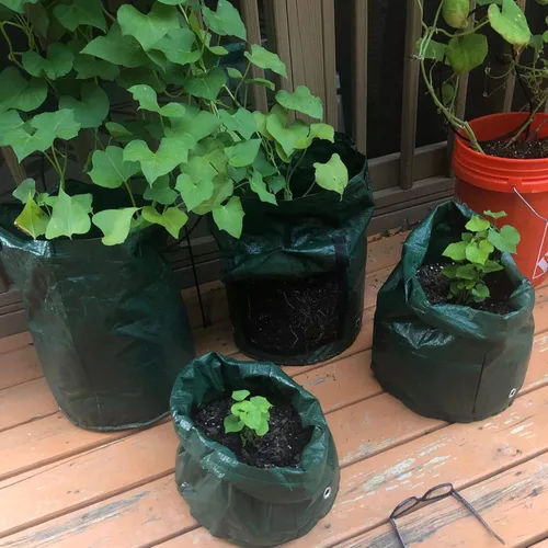 Vista 6 de JJGoo Paquete de 2 bolsas de cultivo de patatas de jardín de 10 galones con solapa y asas de aireación, macetas de tela de aireación, macetas