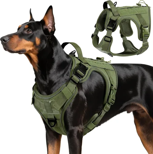 Vista 18 de VavoPaw cinturón de seguridad para perro, arnés de coche con hebilla ajustable para perro, cinturón de seguridad de nailon para mascotas, resistente