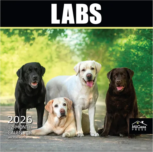Vista 79 de MICASA PRESS Calendario de pared de Australian Shepherds Aussies 2027 02 - Pastores australianos