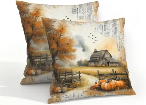 Vista 21 de Juego de 2 fundas de almohada impermeables para exteriores, 16 x 16 pulgadas, fundas de almohada decorativas de patio para muebles de jardín, sofá