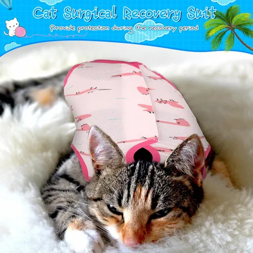 Vista 7 de Kacctyen Juego de 6 Trajes de Recuperación para Gatos Después de la Cirugía Gatito Hembra y Macho Traje de Cirugía Alternativa al Collar E Pijama