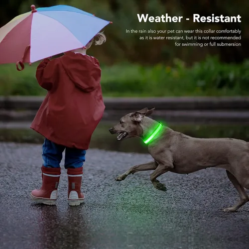 Vista 5 de Collares de perro con luz, collar de perro con luces LED, recargable, impermeable, collar iluminado totalmente ajustable, collar de perro oscuro