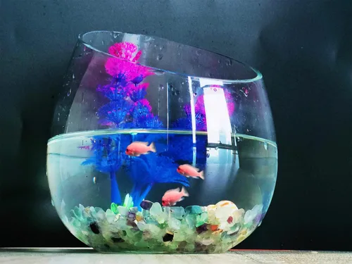 Vista 5 de ZHIYUXI Relleno de florero de fluorita de cristal, 0.22 libras, chips curativos pulidos para decoración, grava para pecera, plantas suculentas