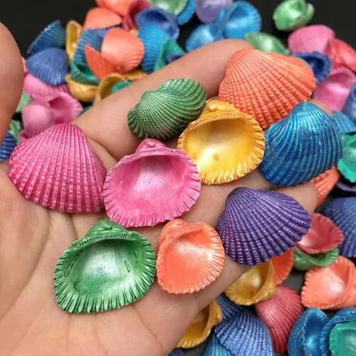 Vista 13 de PEPPERLONELY Conchas marinas teñidas de colores surtidos, 5 onzas, tamaño 1/4 pulgada