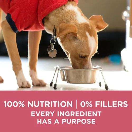 Vista 9 de Purina ONE Alimento seco natural para perros con estómago sensible, fórmula +Plus para piel y pelaje, bolsa de 16.5 libras