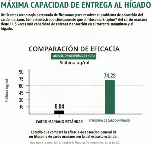 Vista 3 de SoActive® Milk Thistle: fitosoma de cardo mariano 10 veces más eficaz, optimizado para silybina bioactiva esencial A & B Plus Bilear® extracto