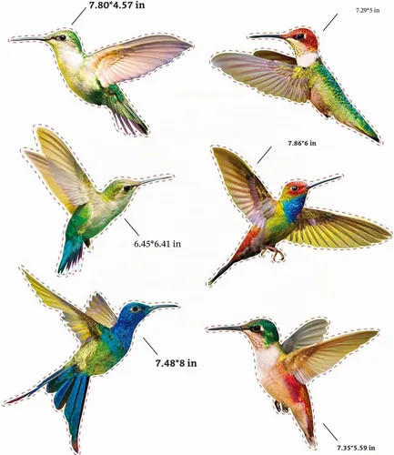 Vista 2 de Blulu 6 piezas de calcomanías de ventana de colibrí de gran tamaño, calcomanías anticolisión para evitar golpes de pájaros en el vidrio