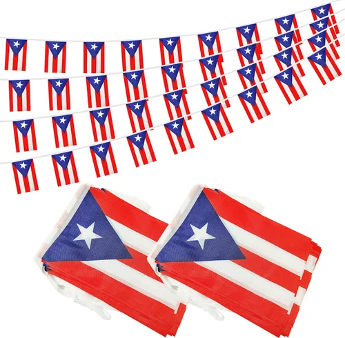 Vista 8 de Bandera argentina de 50 pies con cadena de bandera argentina, mini bandera argentina pequeña, para decoración de fiestas, tiendas y bares