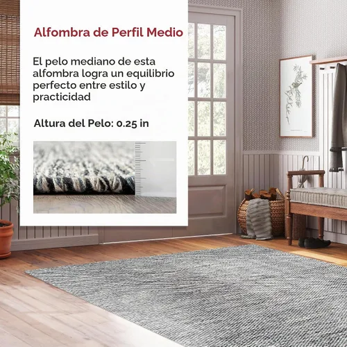 Vista 5 de nuLOOM Alessi - Alfombra decorativa de algodón sólido de granja, 2 x 3, color gris