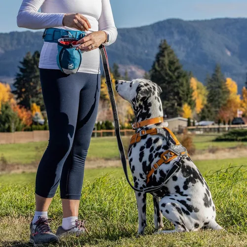 Vista 2 de Arnés PetSafe 3 en 1, de los fabricantes del arnés Easy Walk, XS