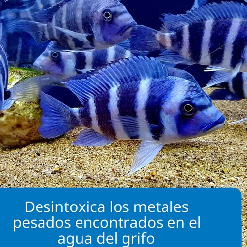 Vista 4 de API - Acondicionador de agua de grifo para acuarios - Botella de 1 onza