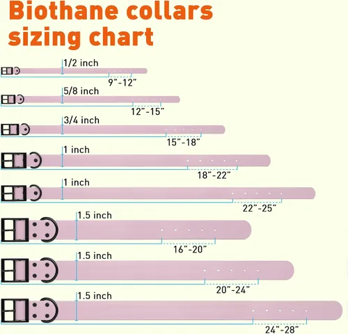 Vista 236 de Dogline Biothane - Collar impermeable para perro con hebilla de liberación rápida, resistente cincha de nailon recubierta con resistente y a prueba