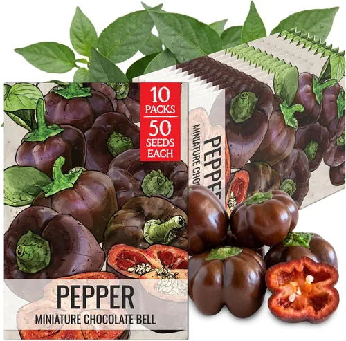 Vista 64 de Seed Needs - Semillas de pimiento arcoíris para plantar verduras, 1 paquete