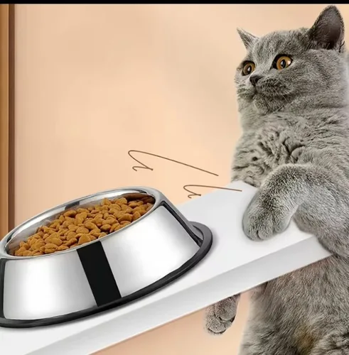 Vista 3 de Comedero Plato Para Perros Y Gatos