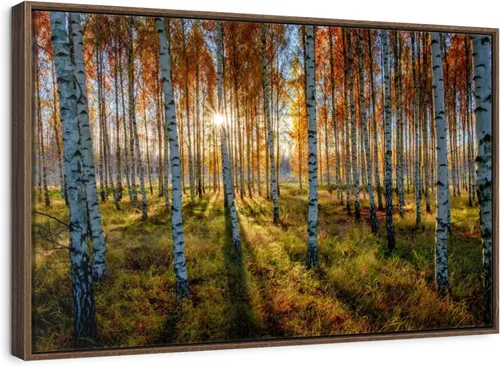 Vista 10 de ElephantStock - Swedish Birch Forest Wall Art - Horizontal Floating Framed Canvas - Hallway Wall Decor - Photography Nature Framed Canvas Art