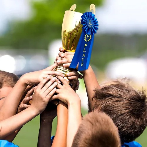 Vista 6 de Lewtemi 6 paquetes de cintas de premio del 1er lugar Roseta azul ganador