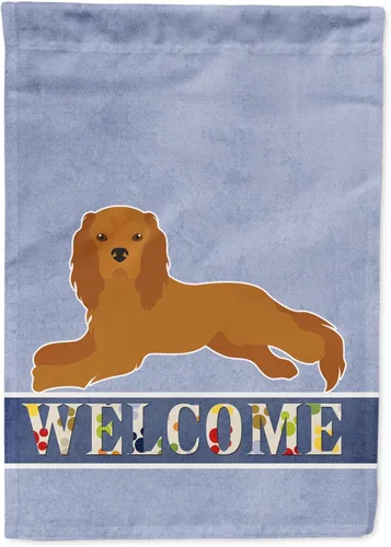 Vista 102 de Caroline's Treasures CK3645GF Bandera de bienvenida de bulldog inglés para jardín, bandera decorativa para patio exterior, obras de arte de patio