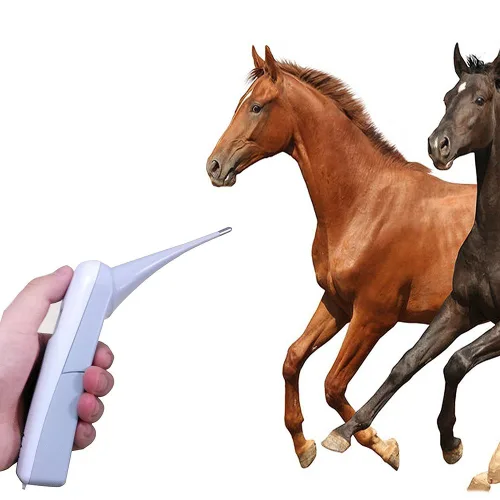 Vista 6 de Termómetro electrónico animal para mascotas Termómetro digital es un termómetro recto rápido para perros, caballos, gatos, cerdos, ovejas