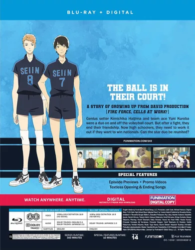 Vista 2 de 2.43 Seiin High School Boys Volleyball Team - The Complete Season