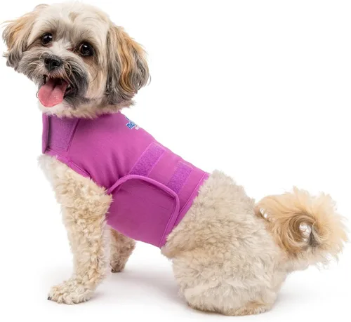 Vista 21 de Camisa Mellow Shirt para calmar la ansiedad de perros, Cypress