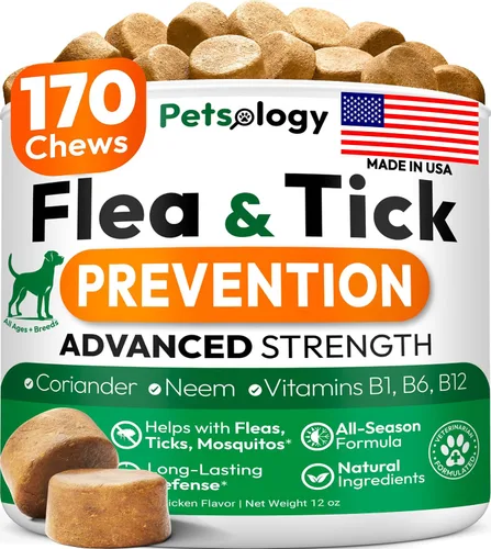 Vista 9 de (Paquete de 2) Probióticos para Perros - 340 Masticables Probióticos para Perros - Enzimas Digestivas y Prebióticos - Apoyan la Salud Intestinal