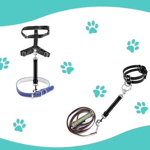 Vista 5 de Correa de seguridad para perro con clip de respaldo para collar de bañera, correa de seguridad de respaldo para perro, ajustable, reflectante
