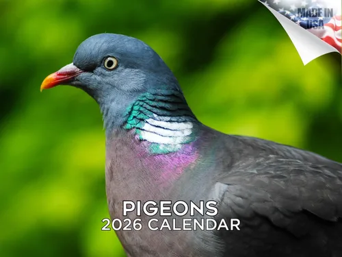 Vista 614 de Calendario de grises africanos 2025 2026 – Planificador mensual de pared de aves africanas – 12 x 18 pulgadas (abierto), calendario de pared
