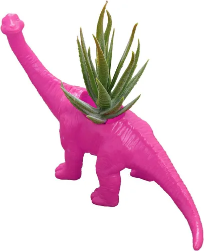Vista 12 de Aislor Maceta suculenta con forma de dinosaurio con bandeja de drenaje, florero multiusos para bonsái, maceta creativa de cactus con orificio
