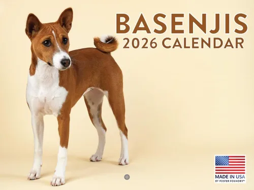 Vista 64 de Calendario mensual de pared Airedale Terrier Dog 2027 rojo (Airedale Terrier)