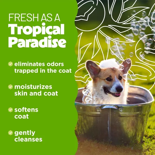 Vista 3 de TropiClean Champú Desodorante para Perros con Olor, Champú Profesional para Perros, Poderoso Control del Olor, Seguro para Cachorros, Aroma a Aloe